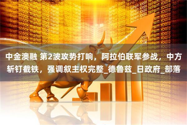 中金澳融 第2波攻势打响，阿拉伯联军参战，中方斩钉截铁，强调叙主权完整_德鲁兹_日政府_部落
