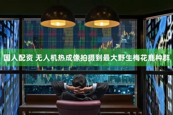 国人配资 无人机热成像拍摄到最大野生梅花鹿种群