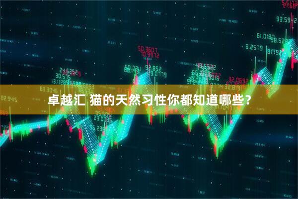 卓越汇 猫的天然习性你都知道哪些？