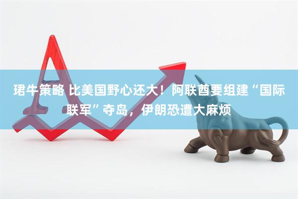 珺牛策略 比美国野心还大！阿联酋要组建“国际联军”夺岛，伊朗恐遭大麻烦